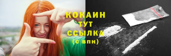 соль ск Алексин