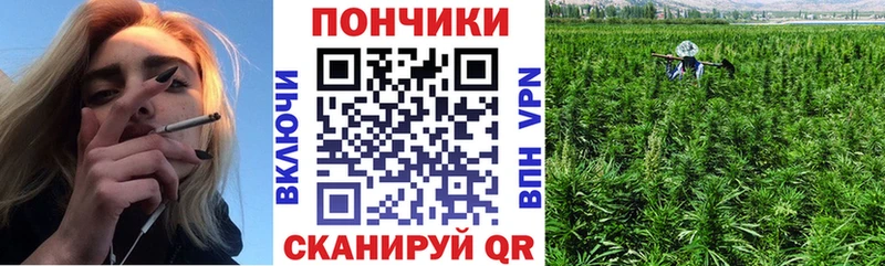 Бошки Шишки White Widow где продают Ивангород